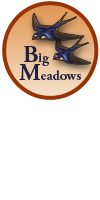 Big Meadows